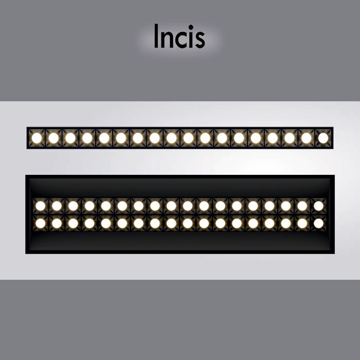 Incis